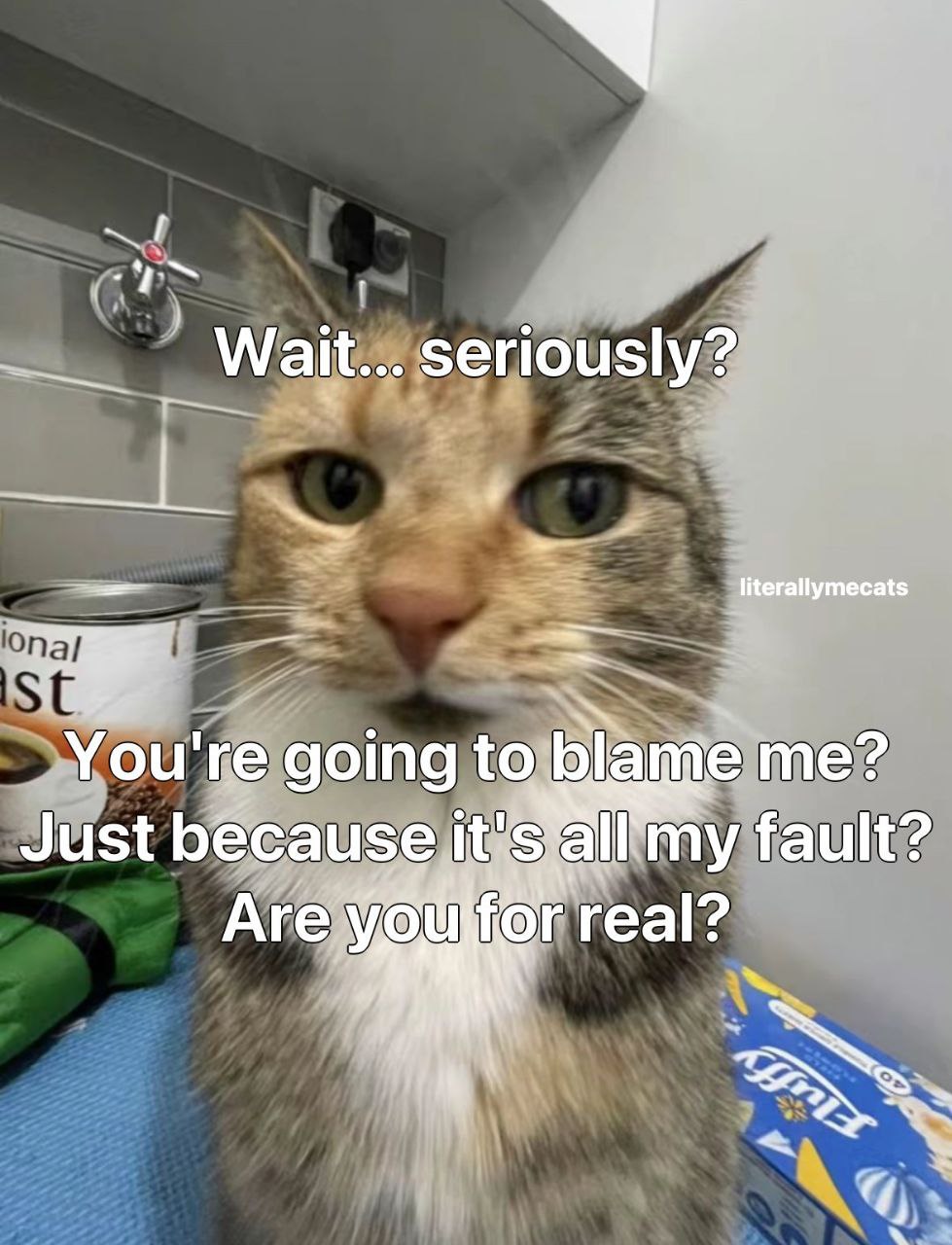 Wait... seriously? 3 You're going to Маме Just because my fault? ггеа!?