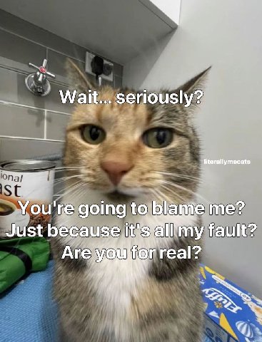Wait... seriously? 3 You're going to Маме Just because my fault? ггеа!?
