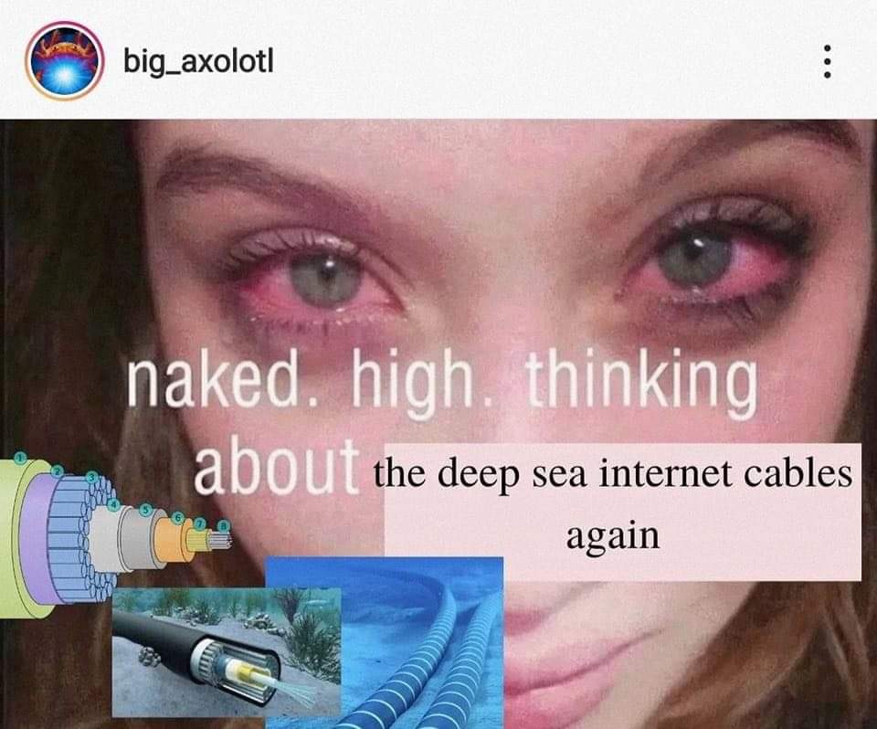 big_axolotl к A a=, the deep sea internet cables again 5