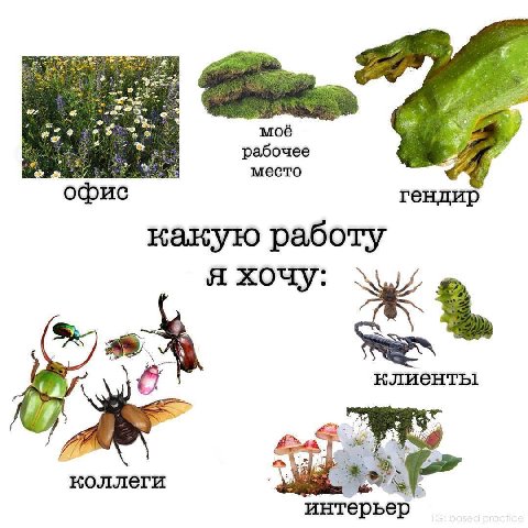 we моё рабочее место офис гендир какую работу я хочу: клиенты коллеги интерьер
