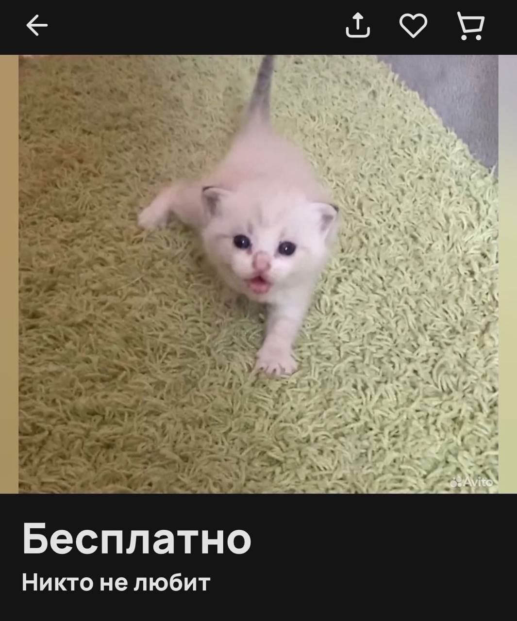 Бесплатно Никто не любит