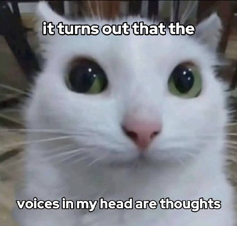 it turns out that the a voices in my head are thoughts