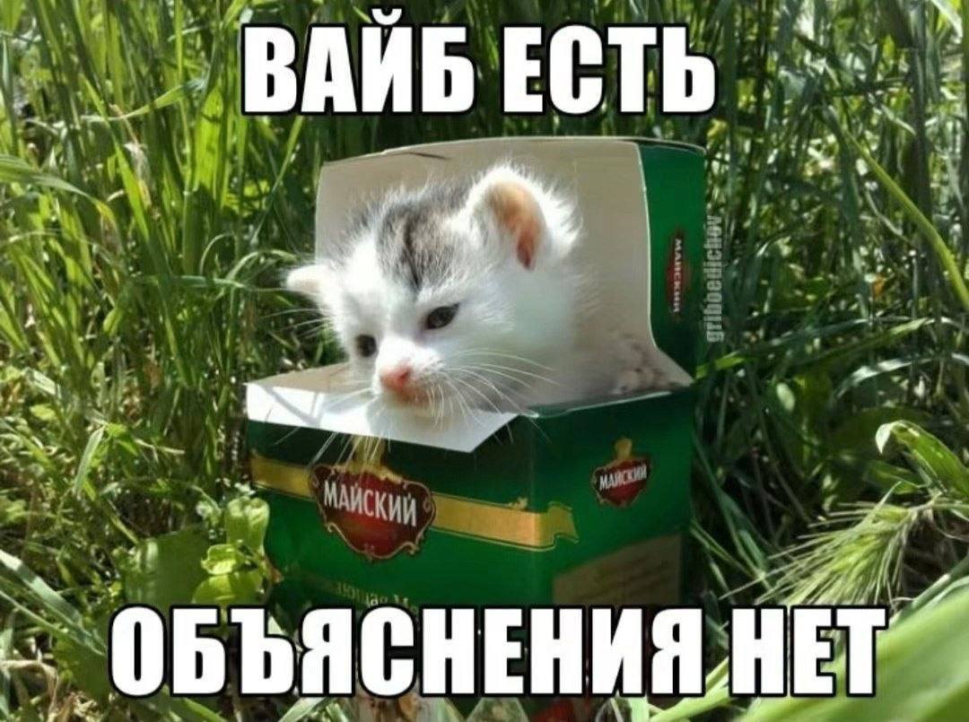 5 ВАЙБ ЕСТЬ. 4% A 3 i jay if НЕНИЯ) ACH
