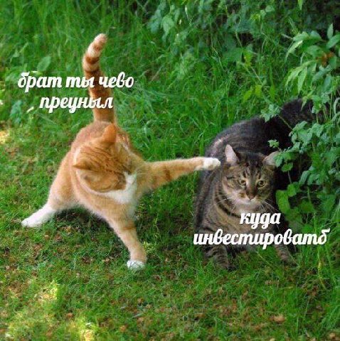 брат ты чево инвестироватд