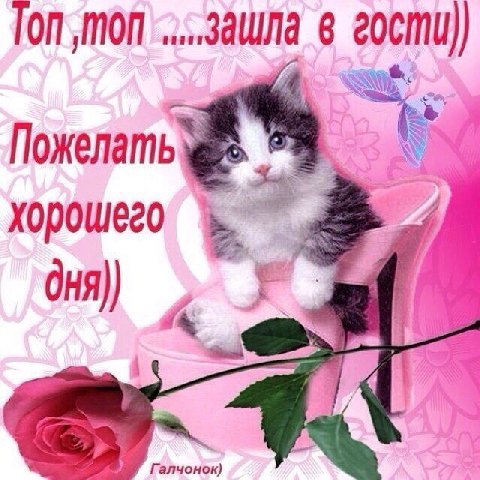 Гоп зашла гости] Пожелать хорошего дня)