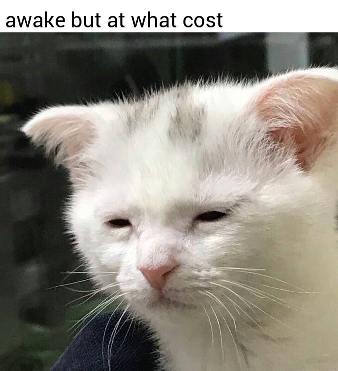 awake but at what cost