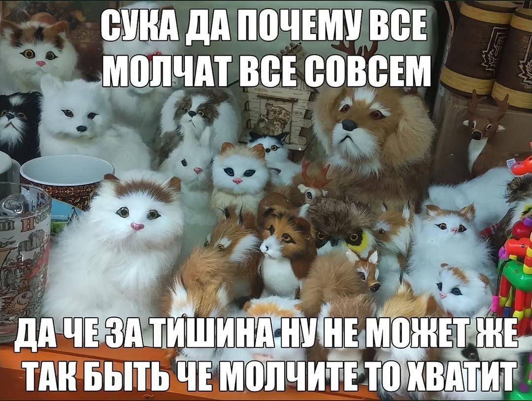 СУВА ДА ПОЧЕМУ BCE МОЛЧАТ ВСЕ СОВСЕМ in ДА ЧЕЗА ТАК БЫТЬ ЧЕ МОЛЧИТЕ ТО ХВАТИТ