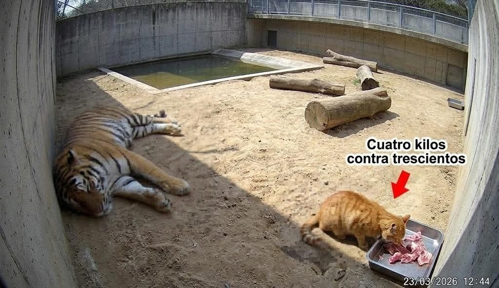 {i oF kilos: contra trescientos #3: 2370 12:44