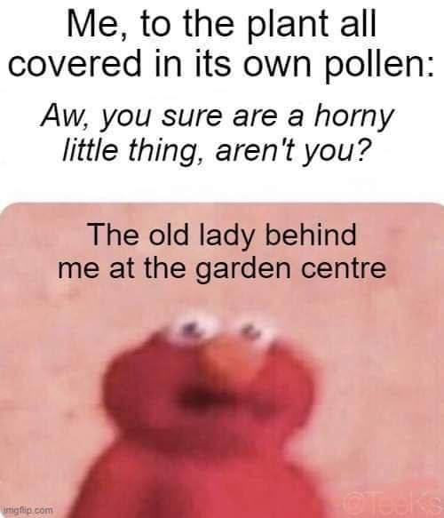 Me, to the plant all covered in its own pollen you sure are a horny little thing, aren't you? The old lady behind me at the garden centre