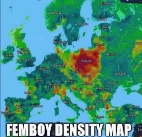 FEMBOY DENSITY МАР