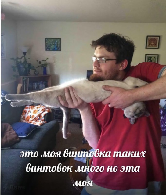 We это моя таких бинтовок много но эта MOA