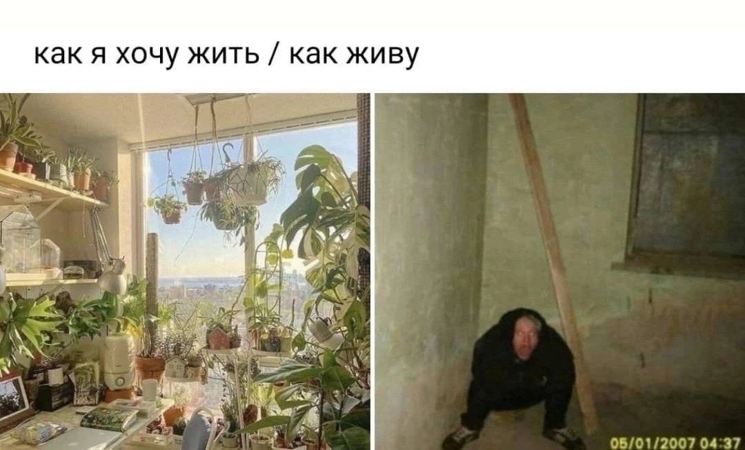 как я хочу жить как живу я