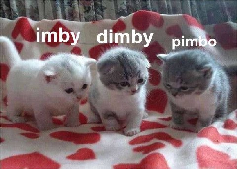 dim