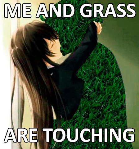 МЕУАМО GRASS АВЕ TOUCHING