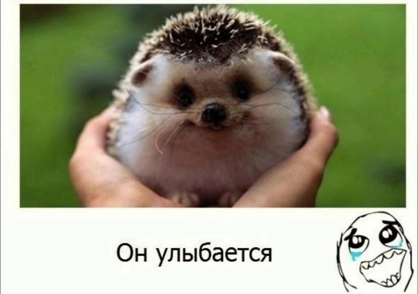 a улыбается