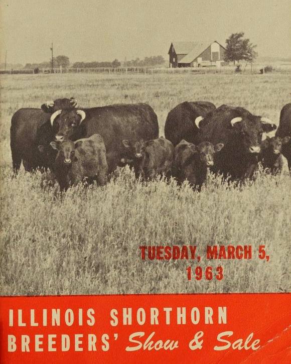 SHORTHORN ERS’ Sale