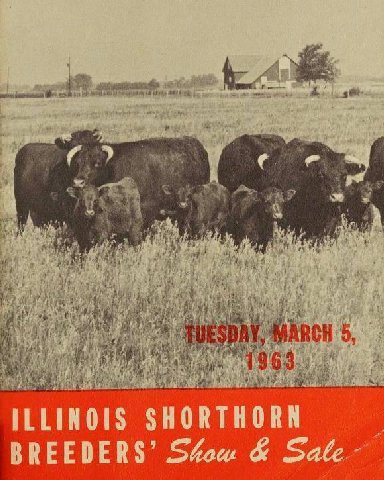 SHORTHORN ERS’ Sale