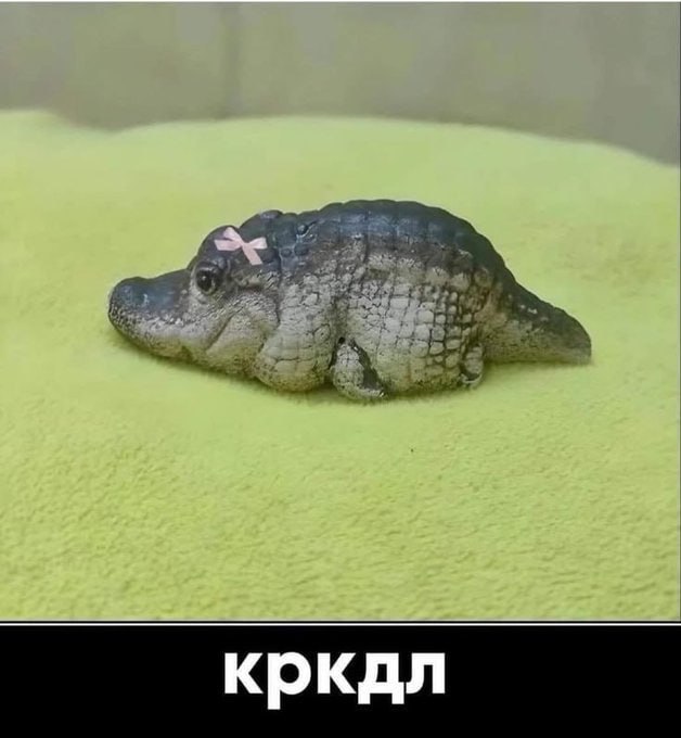 кркдл