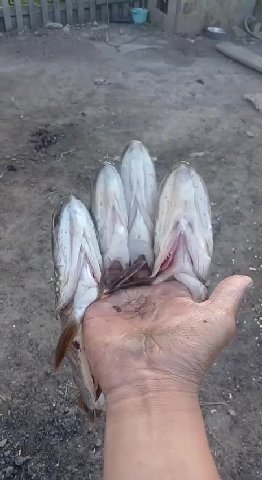 3 7 a a a 4 в я A у 4 i 7 A 4