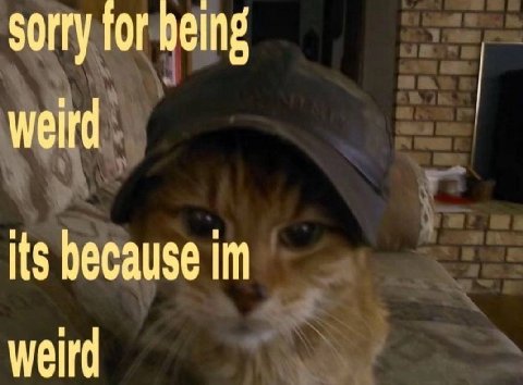 sorry for Its because weird