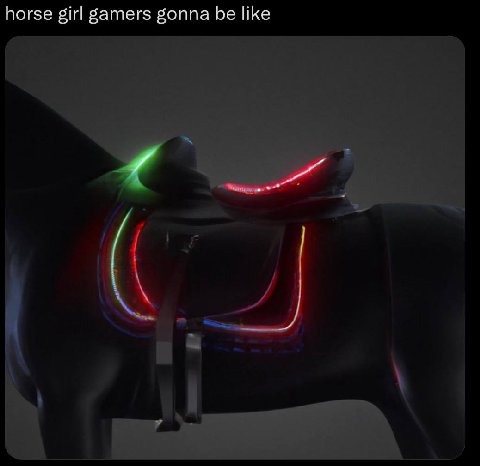 horse girl ватег$ gonna be like