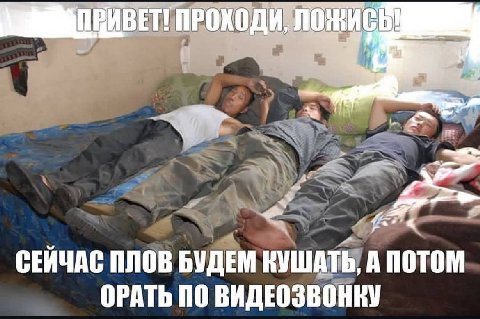 BET! ПРОХОДИ СЕИЧАС ПЛОВ БУДЕМ КУШАТЬ, А ПОТОМ ОРАТЬ ПО ВИДЕОЗВОНКУ