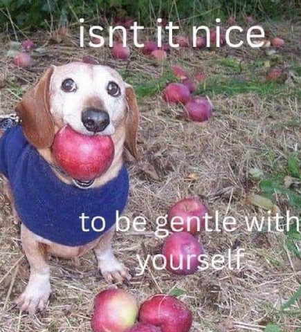 isnt it nice 4 у be gentle with