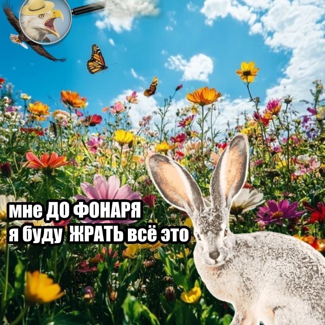 у 3. у |1 ‘мне ДО ФОНАРЯ, я буду ЖРАТЬ всё это 2