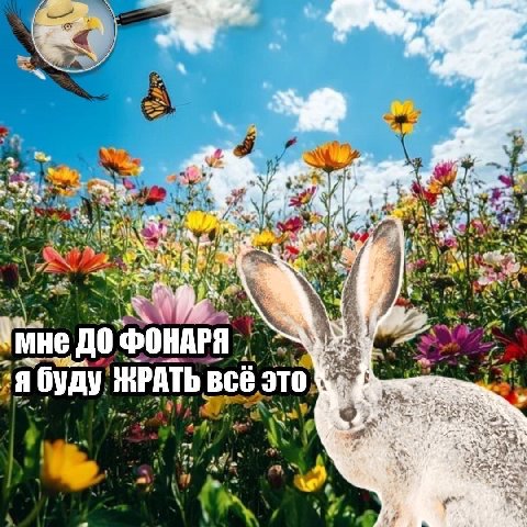 у 3. у |1 ‘мне ДО ФОНАРЯ, я буду ЖРАТЬ всё это 2