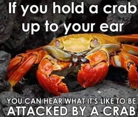 you hold a crab up to your ear YOU САМ HEAR WHAT LIKE TO BE ATTACKED A CRAB