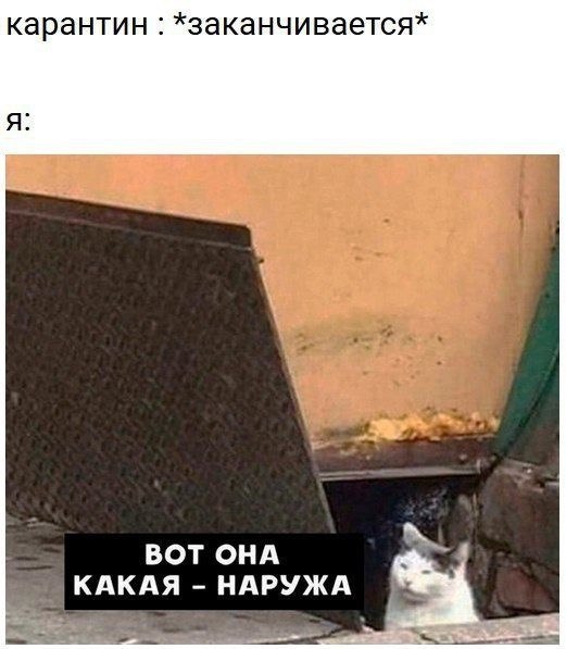 карантин *заканчивается* я: ВОТ ОНА НАРУЖА