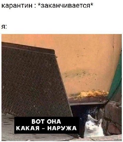 карантин *заканчивается* я: ВОТ ОНА НАРУЖА