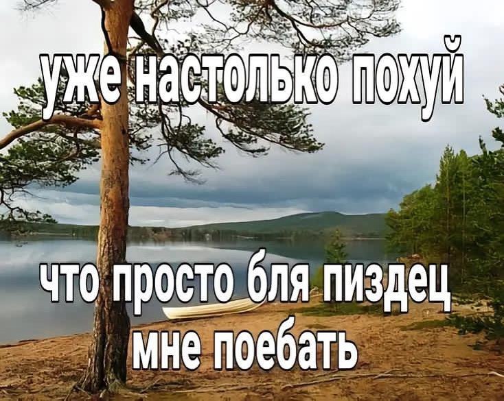 Pex пиздец 4 1 0еба