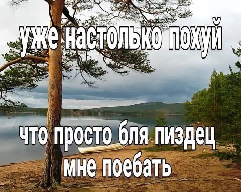 Pex пиздец 4 1 0еба