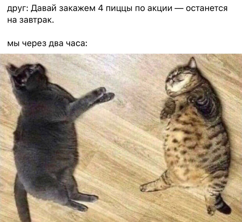 друг: Давай закажем 4 пиццы по акции останется на завтрак. мы через два часа: В
