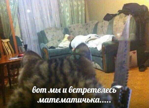 a вот мы и встретелесь”