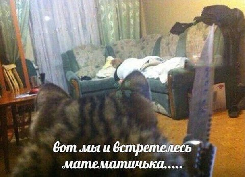 a вот мы и встретелесь”