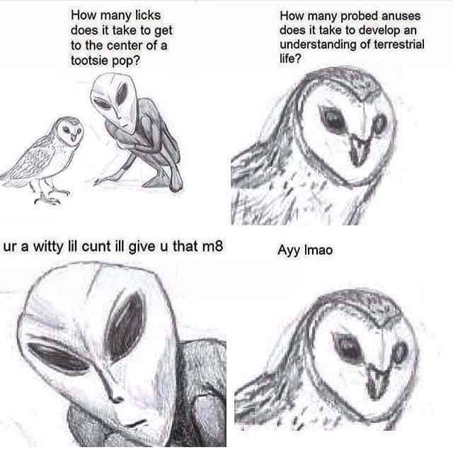 How many licks How many probed anuses does it take to get does it take to develop an to the center of a understanding of terrestrial tootsie pop? life? i ich a witty lil cunt ill give и that Ayy i
