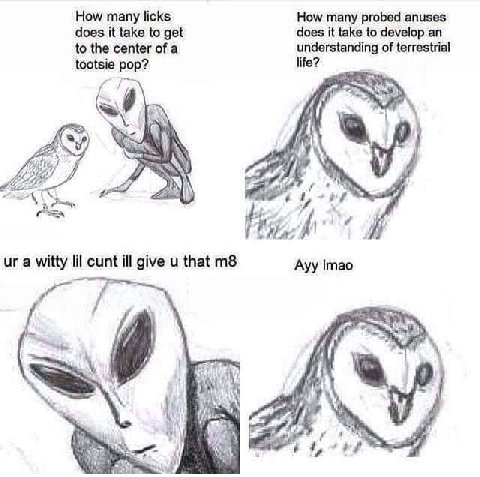 How many licks How many probed anuses does it take to get does it take to develop an to the center of a understanding of terrestrial tootsie pop? life? i ich a witty lil cunt ill give и that Ayy i