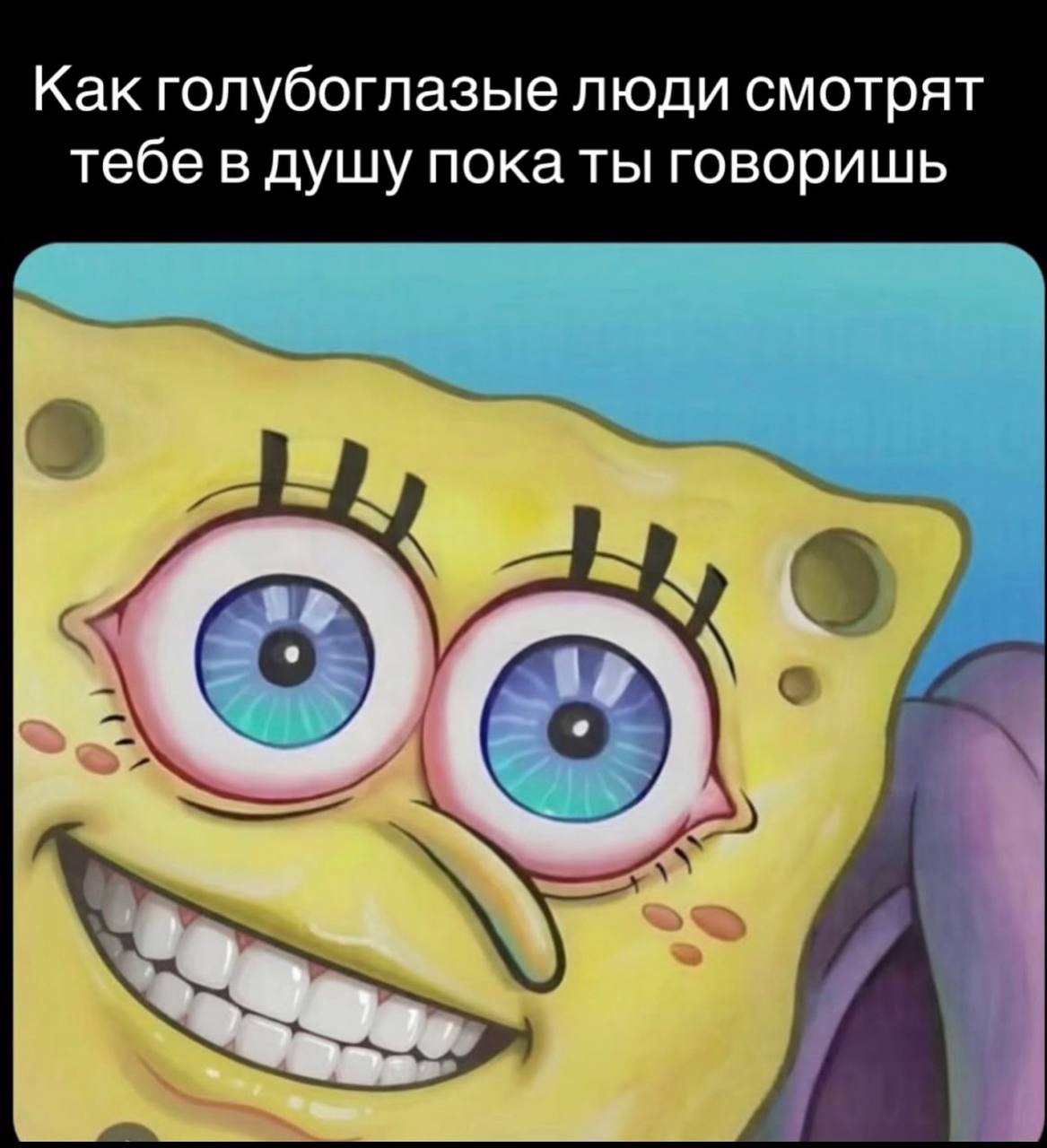 Как голубоглазые люди смотрят тебе в душу пока ты говоришь