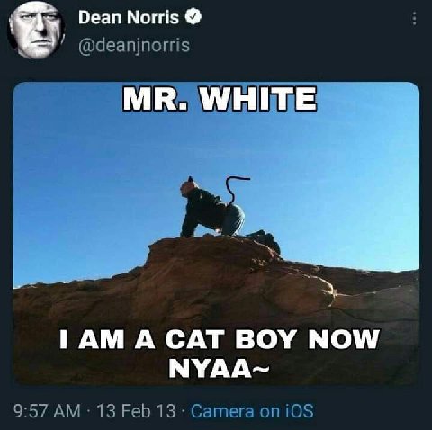 Оеап @deanjnorris A CAT BOY NOW NYAA~ 9:57 13 Feb 13 Camera on iOS