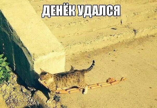 ALY 1 tea 4 у 3 А 42 of а 5 я я 9 We 5 А