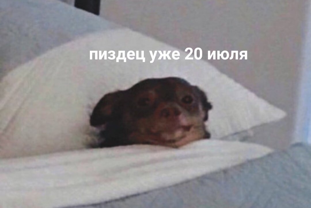 пиздец уже 20 июля