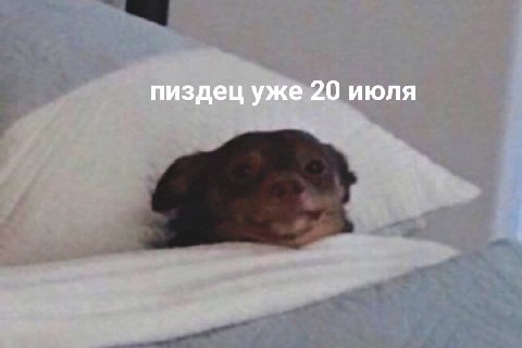 пиздец уже 20 июля