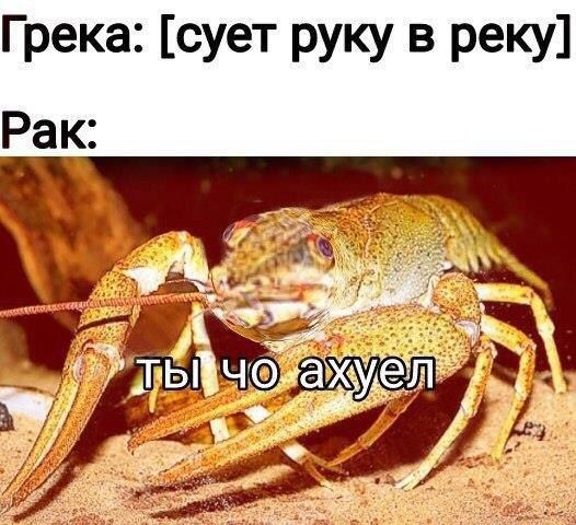 Грека: [сует руку в реку] Рак: a