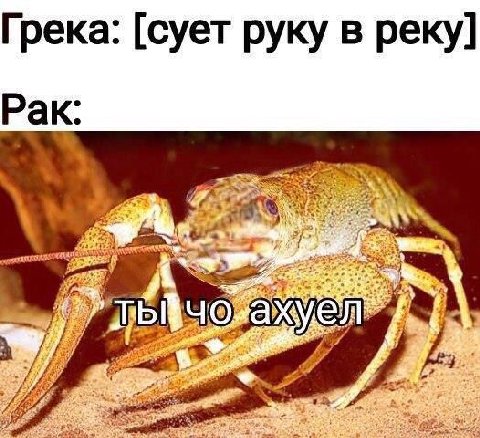 Грека: [сует руку в реку] Рак: a