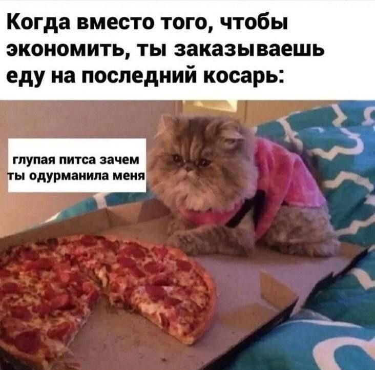 Когда вместо того, чтобы экономить, ты заказываешь еду на последний косарь: к глупая питса зачем одурманила меня 7$