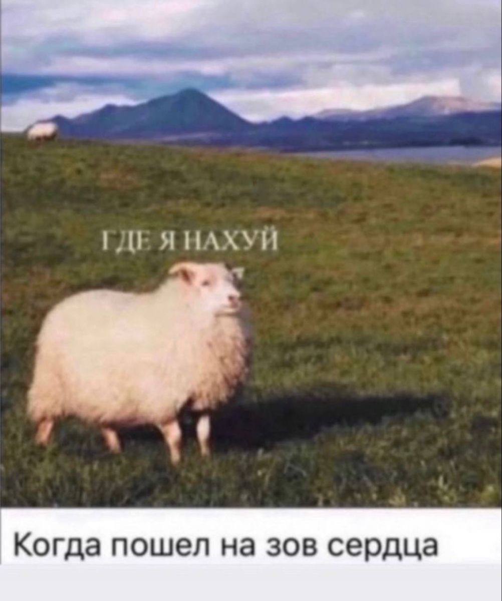 Мечта