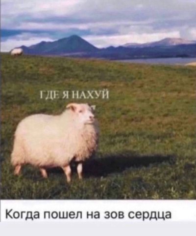 Мечта