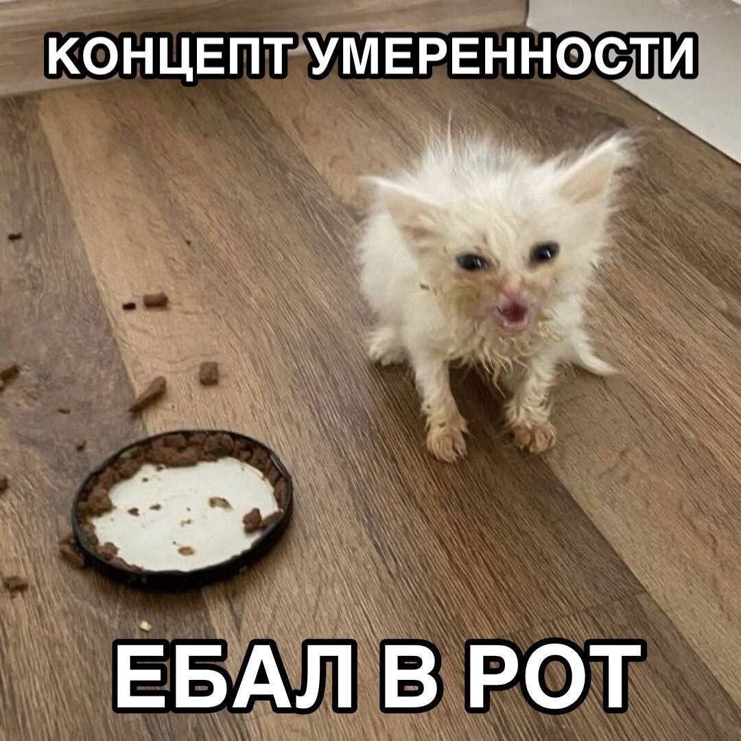 КОНЦЕПТ УМЕРЕННОСТИ ЕБАЛ В РОТ